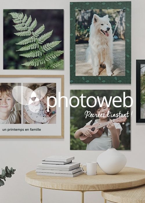Photoweb