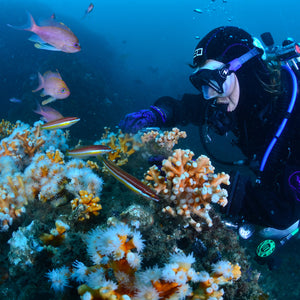 Coral Guardian