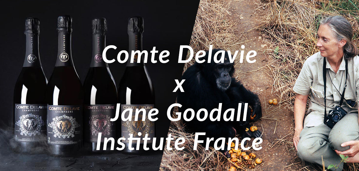 Comte Delavie x Jane Goodall Institute France