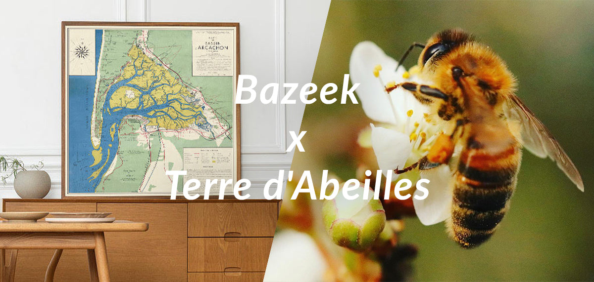 Bazeek - Affiches déco x Terre d'abeilles