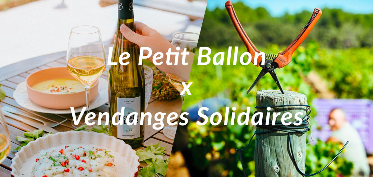 Le Petit Ballon x Vendanges Solidaires