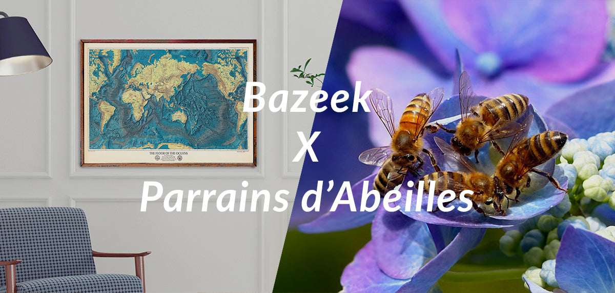 Bazeek - Affiches déco x Parrains d’Abeilles