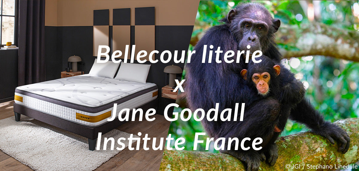Bellecour literie x Jane Goodall Institute France